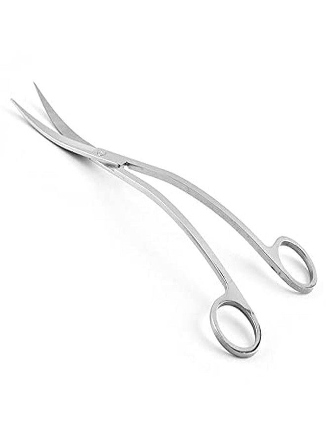 أدوات تزيين أحواض السمك المزروعة من الفولاذ المقاوم للصدأ من VAYINATO®، طول 27 سم (مقص مموج منحني) من Petzlifeworld - Image 2